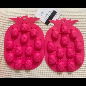 2 Ice Mold Tray, silicone, pink pineapple